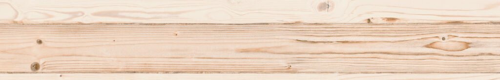 World Woods | Fusta Porcellànica Càlida i Natural — textura 4
