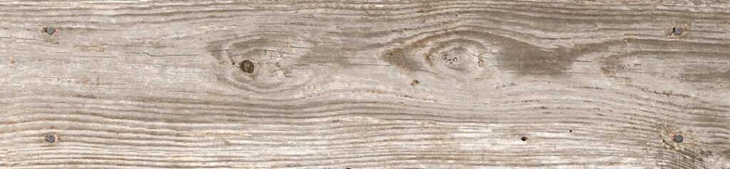 Lumber | Fusta Porcellànica Càlida i Natural — textura 1