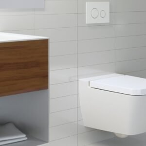 Polsador Pneumàtic a Distància TECEflushpoint | Badagres