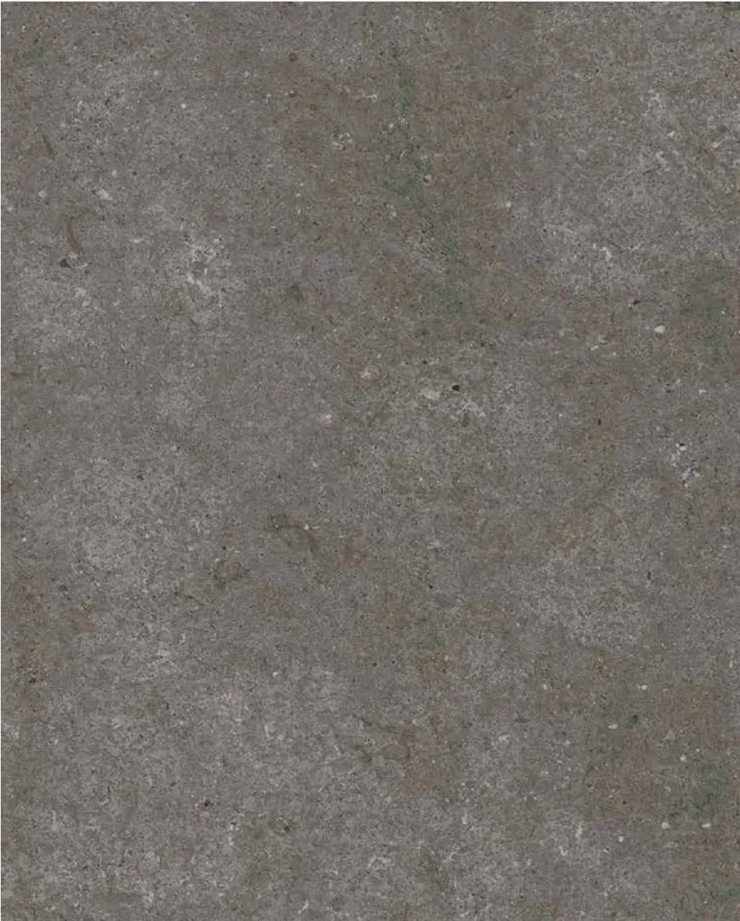 Textura · Fossil Antracita · Ceracasa