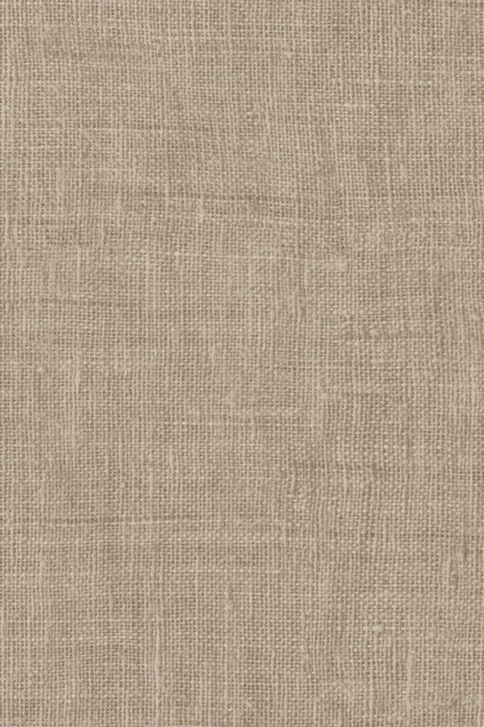 Paper Pintat Indienne Mandu — ambient 2