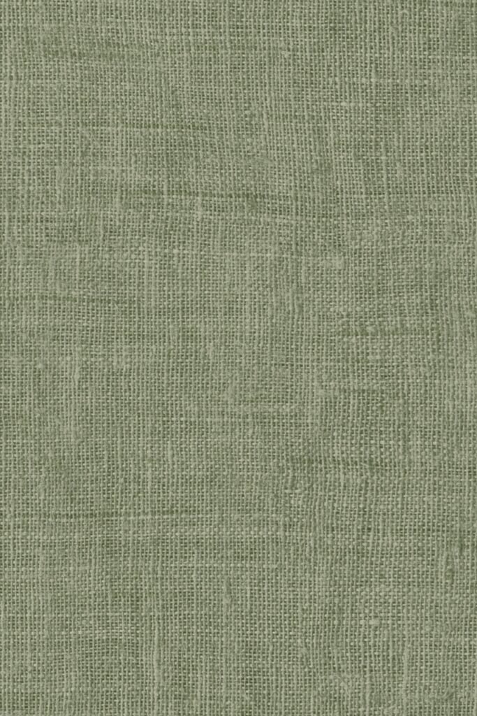 Paper Pintat Indienne Mandu — ambient 4