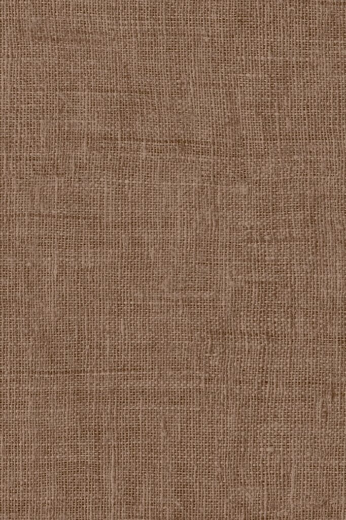Paper Pintat Indienne Mandu — ambient 6