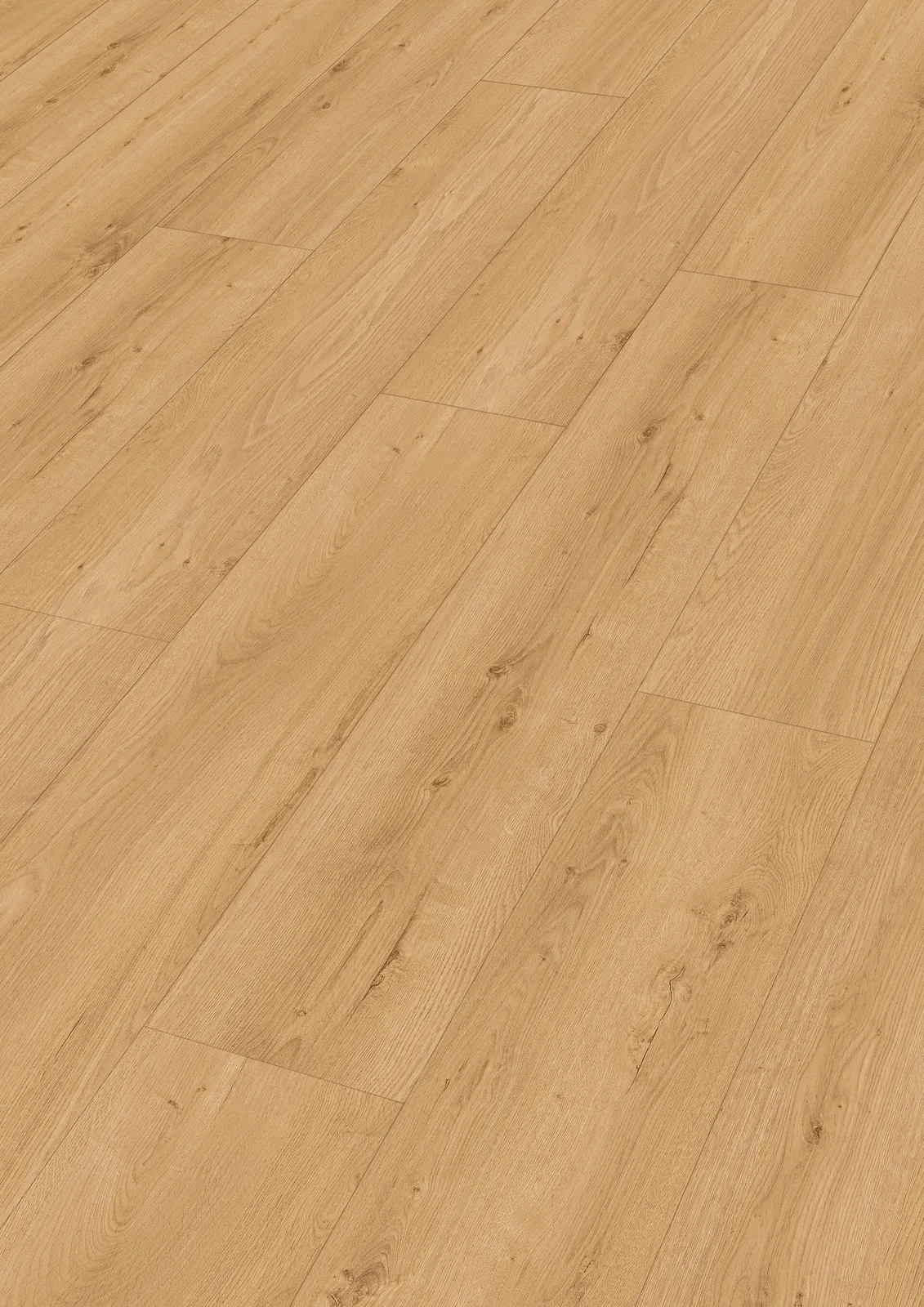 Textura · Earth Oak 07450 · pro DD 250 · Meister