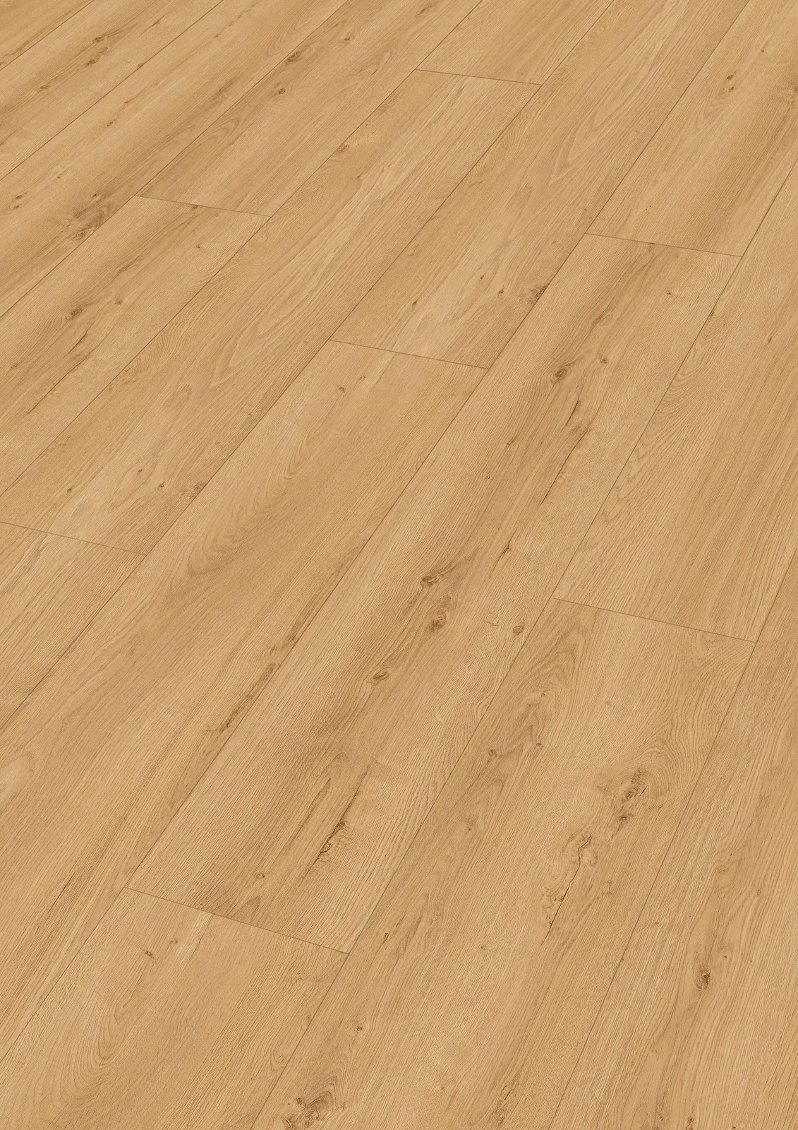 Textura · Earth Oak 07450 · allround DD 700 S · Meister