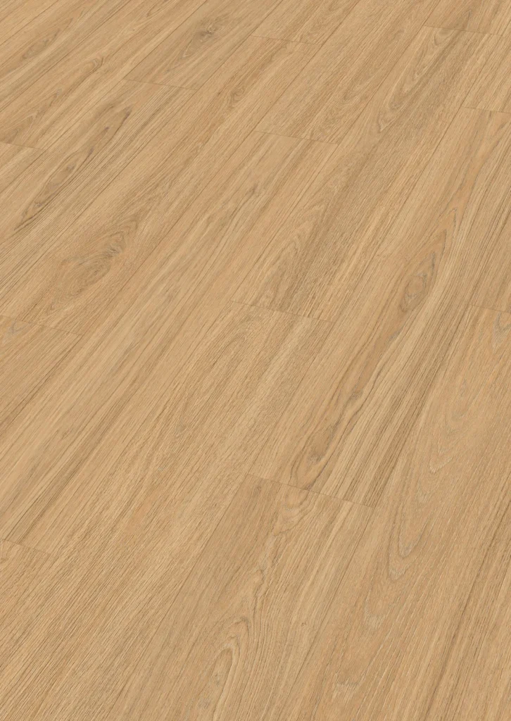 Textura · Princess Oak arena 06895 · LD 250 · Meister