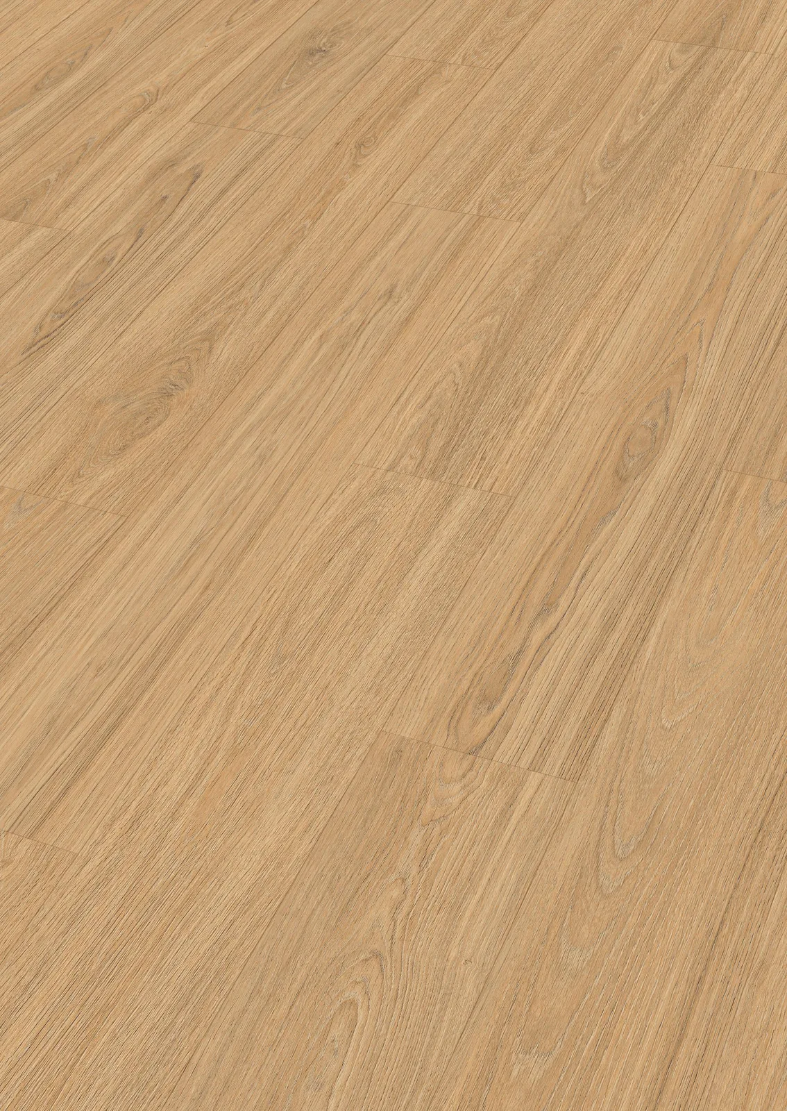 Textura · Princess Oak arena 06895 · LD 250 · Meister