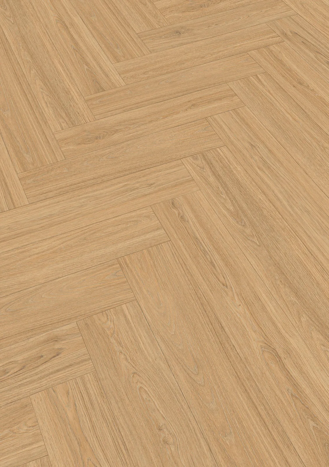 Textura · Princess Oak arena 06895 · LS 350 · Meister