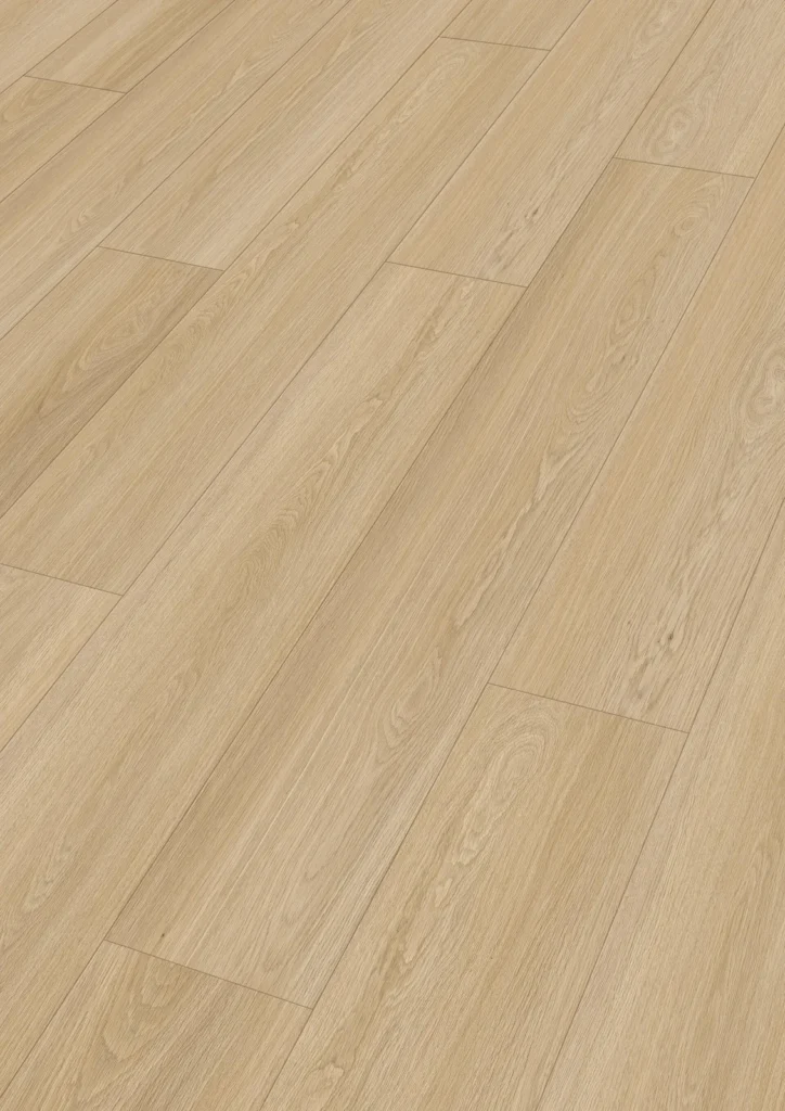 Textura · Beat poetry 20199 · RM 500 S · Meister