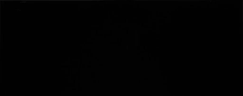 Happy;HAPPY BR NEGRO 25X50;Textura · Happy Brillant Negro 25x50 · Myth Age
