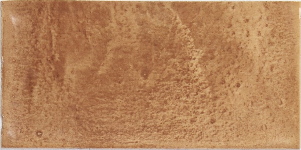 Sèrie Lautia | Fang Llistonat d'Artesania Viva | APE Group — ambient 4