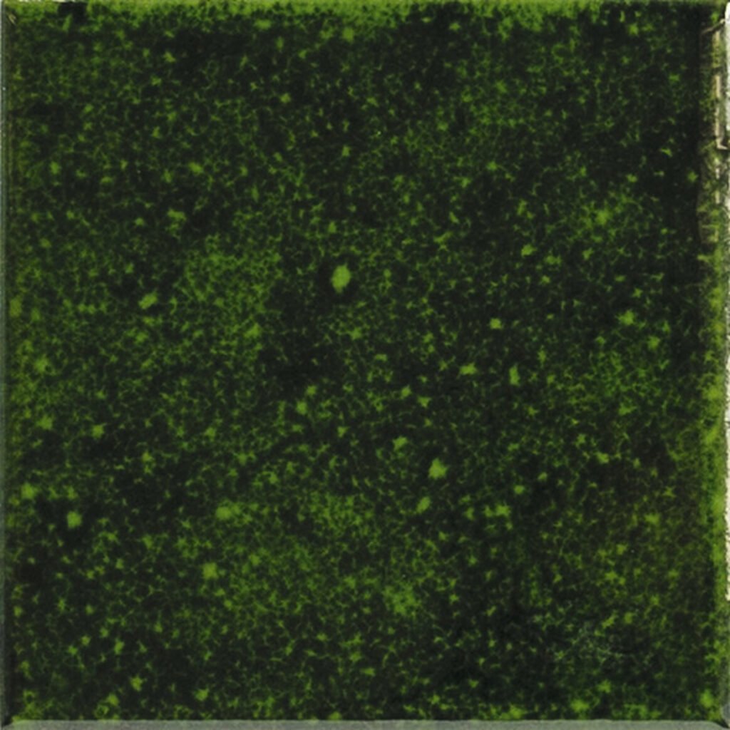 Sèrie Genuine | Artesania reactiva i esmalts únics | APE Group — ambient 5