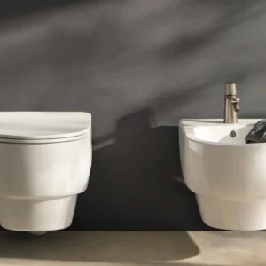 Ambient · Sanitari Franc · Sanycces · 1