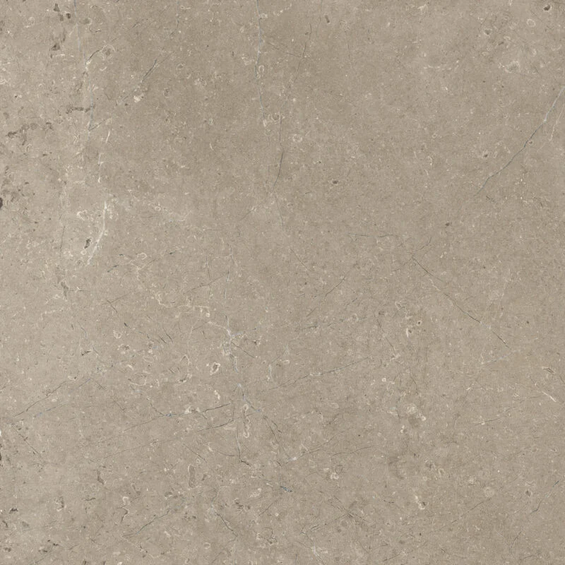 Taupe Velvet